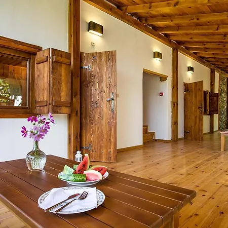 Hills Tatil parkı